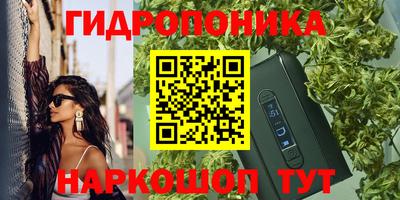 ECSTASY Будённовск