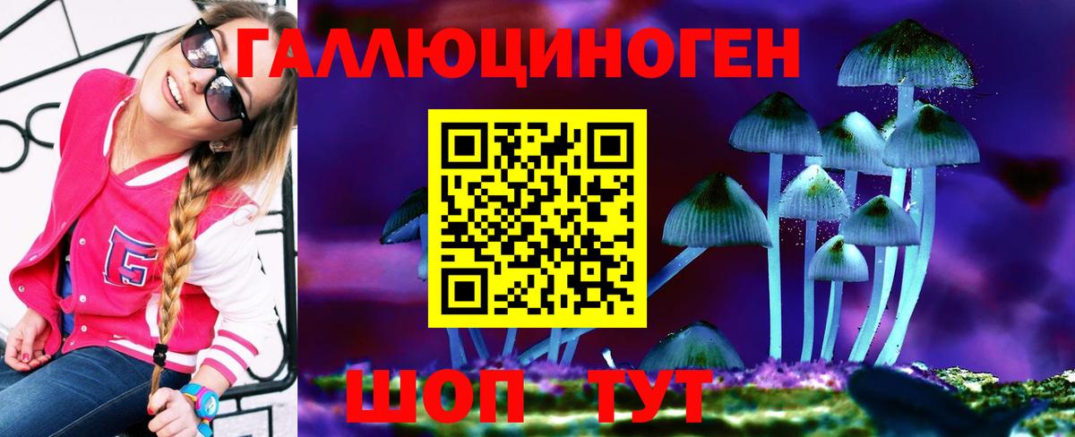 Котельники  Псилоцибиновые грибы прущие грибы  Вход с VPN 